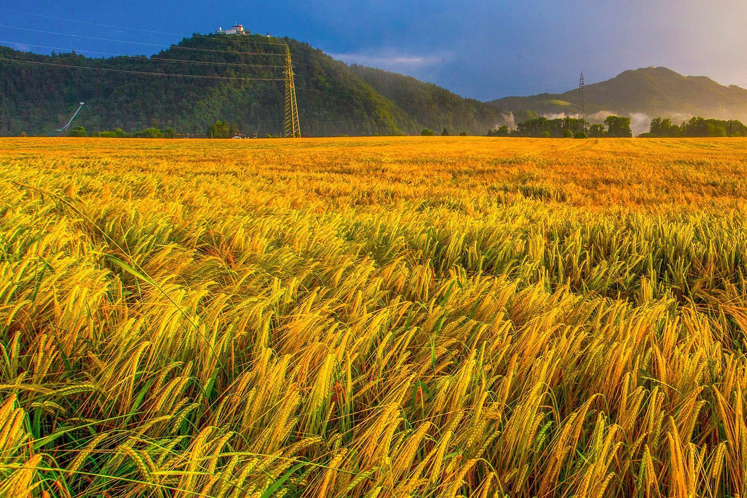 Goldenfields Apartment คราน ภายนอก รูปภาพ